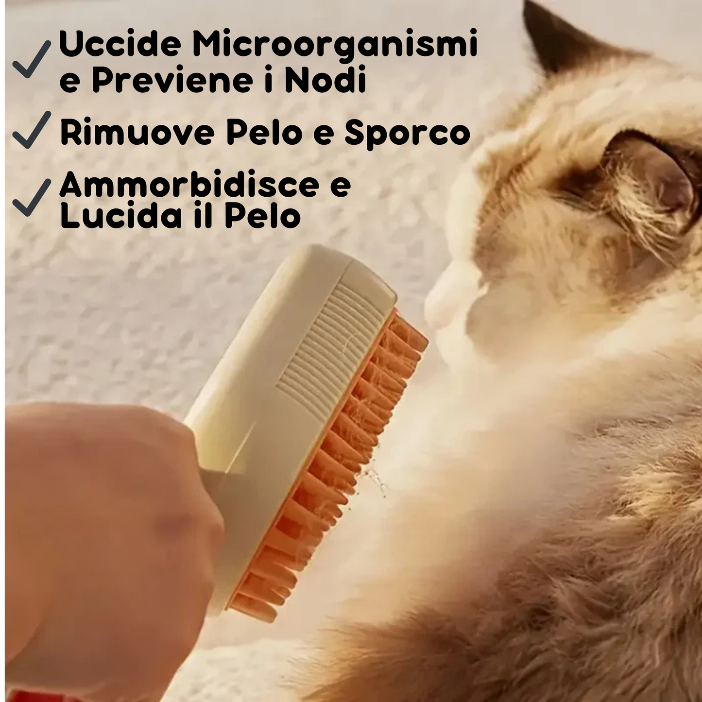 Spazzola a Vapore 3-in-1
