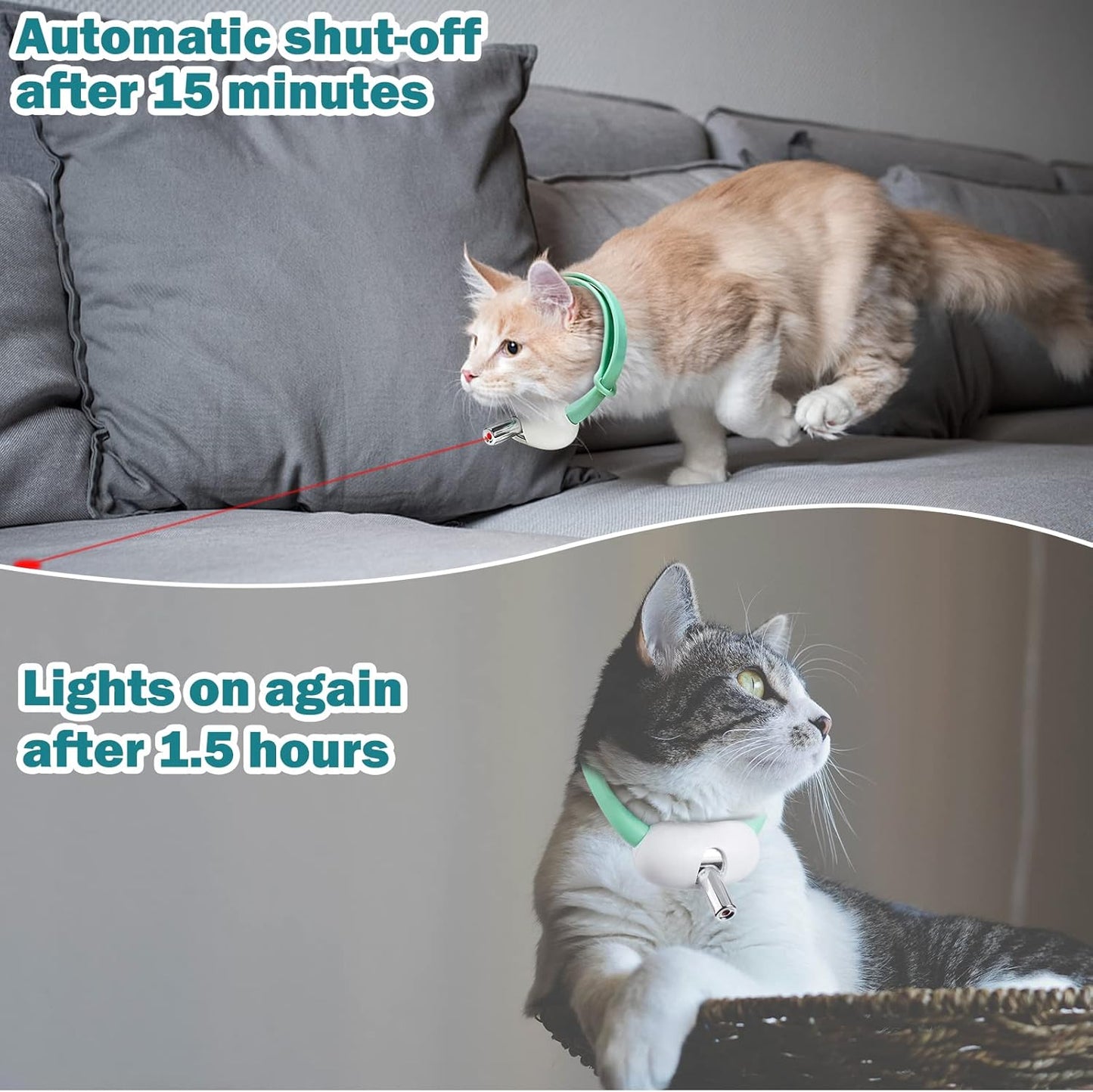 PurrSuit™ - Collare Laser Interattivo 🕹️